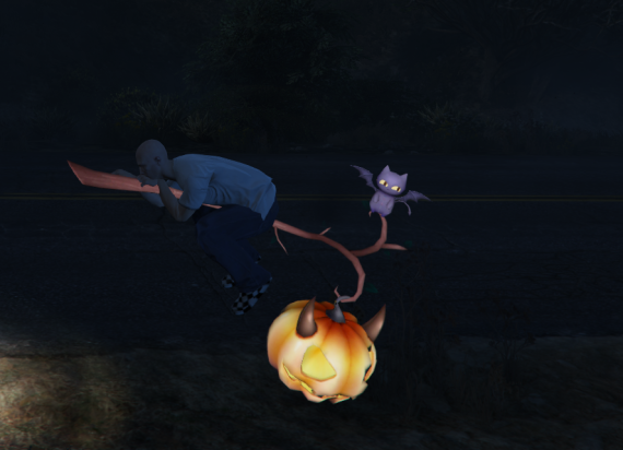 Cute Cat Broom