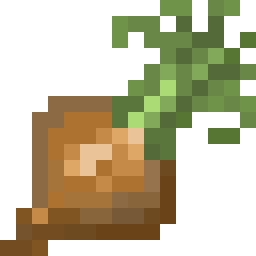 Sweet Onion Seed