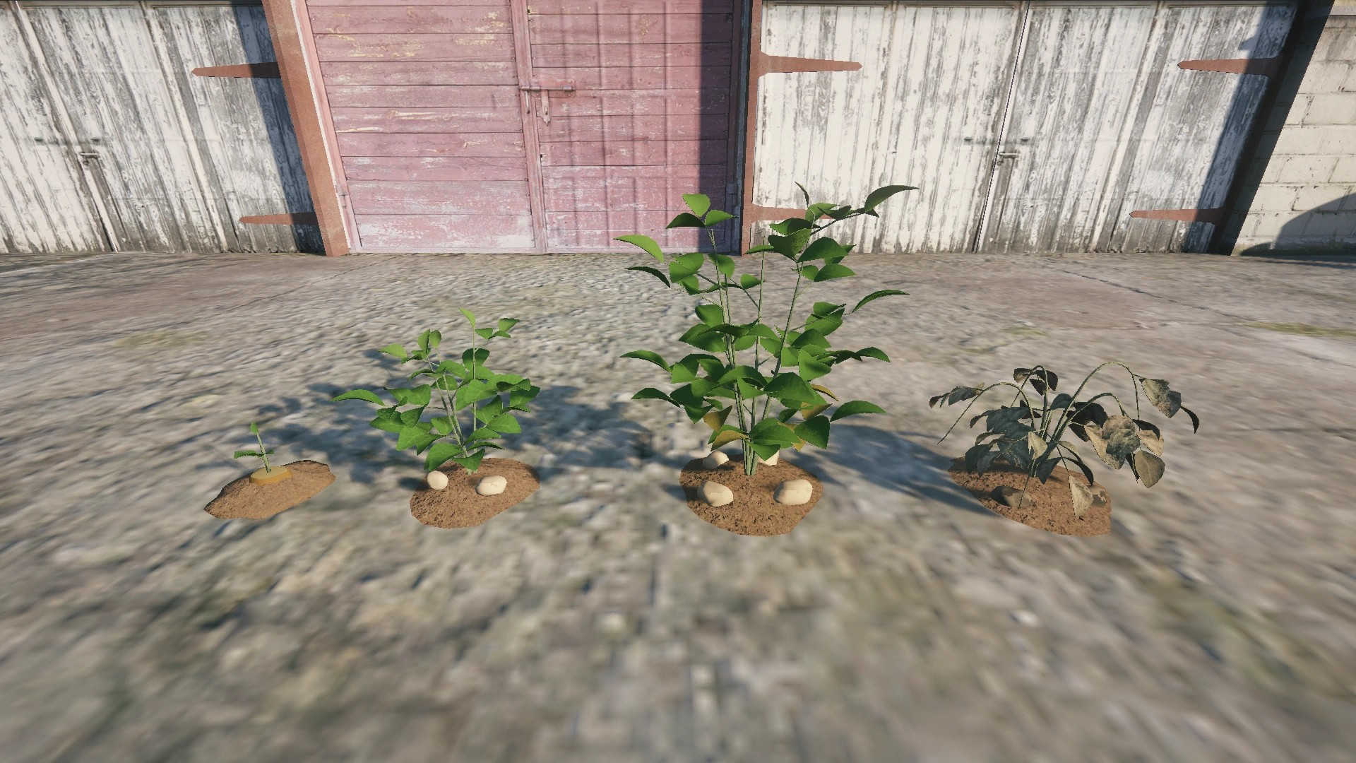 Farm Props: Roots & Bulbs - 5