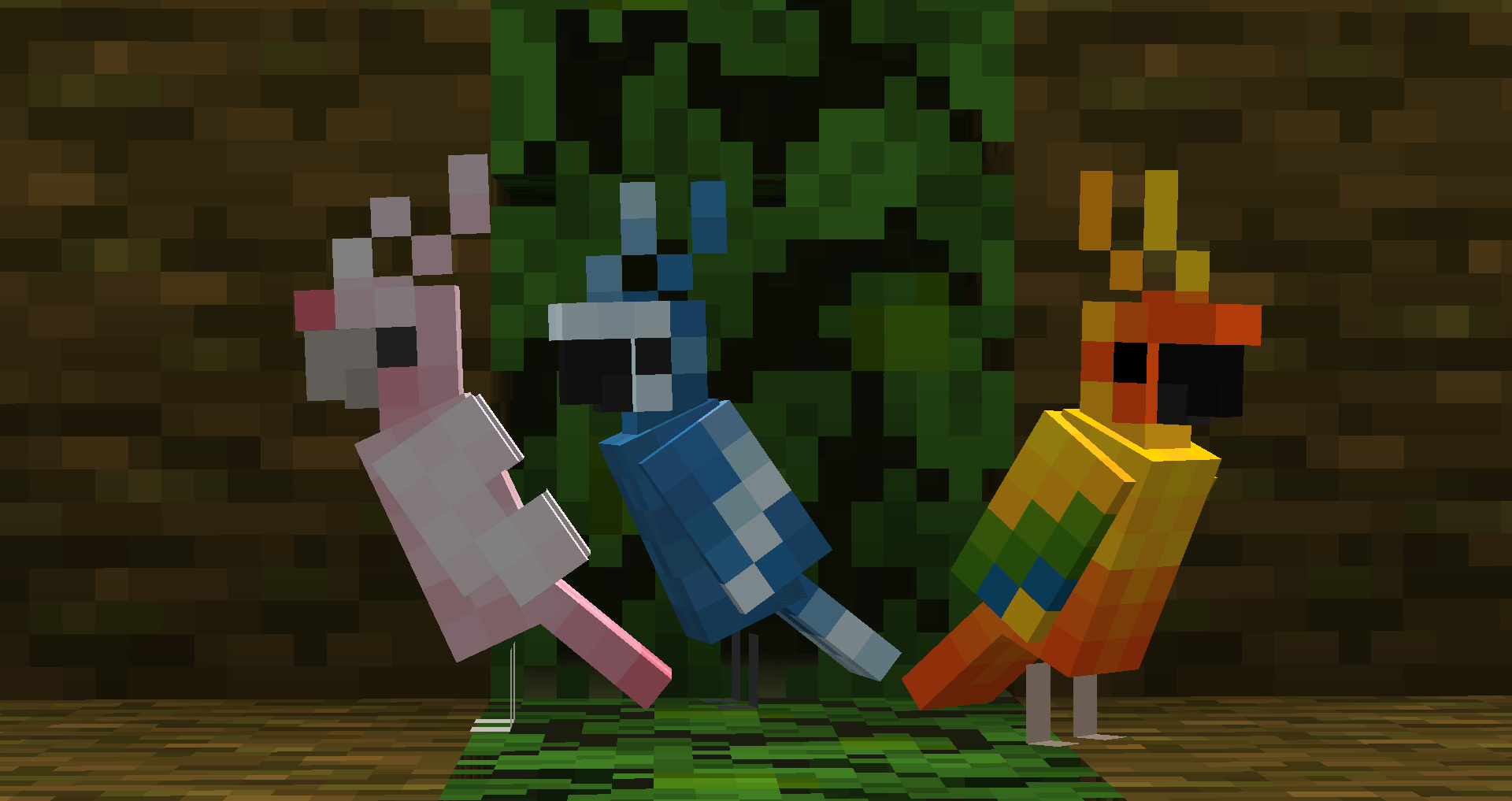 Poppin' Parrot Bundle 😎