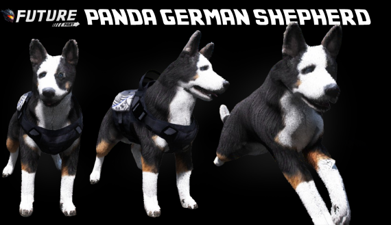 [DOG] Panda German Shepherd K9