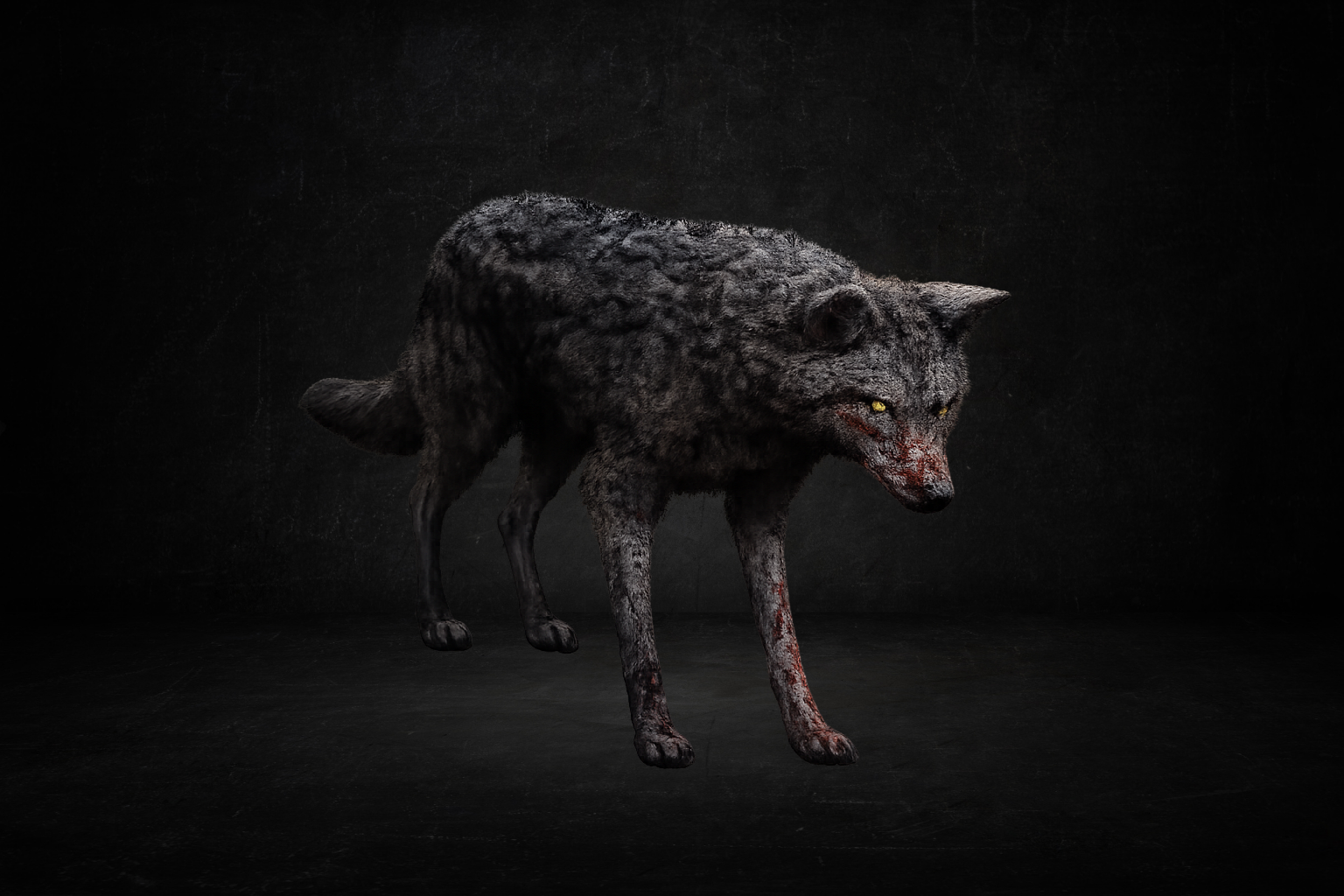 Coyote Sombre  ( survie )