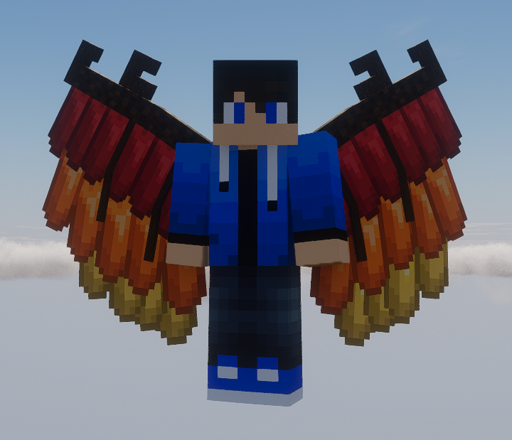 Colourful Wings