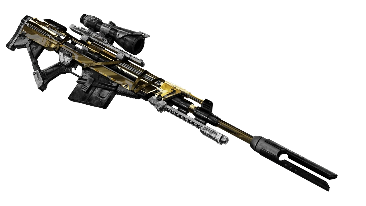 CAMO1.webp