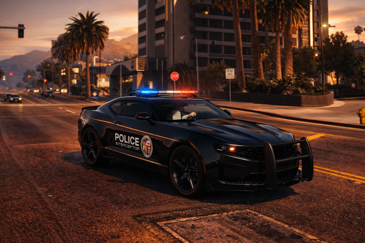 vip police camari