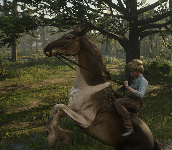 [HORSE]   Uncle  gang horse