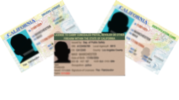 California Based License System | ESX