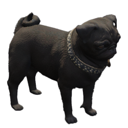 Overige honden
