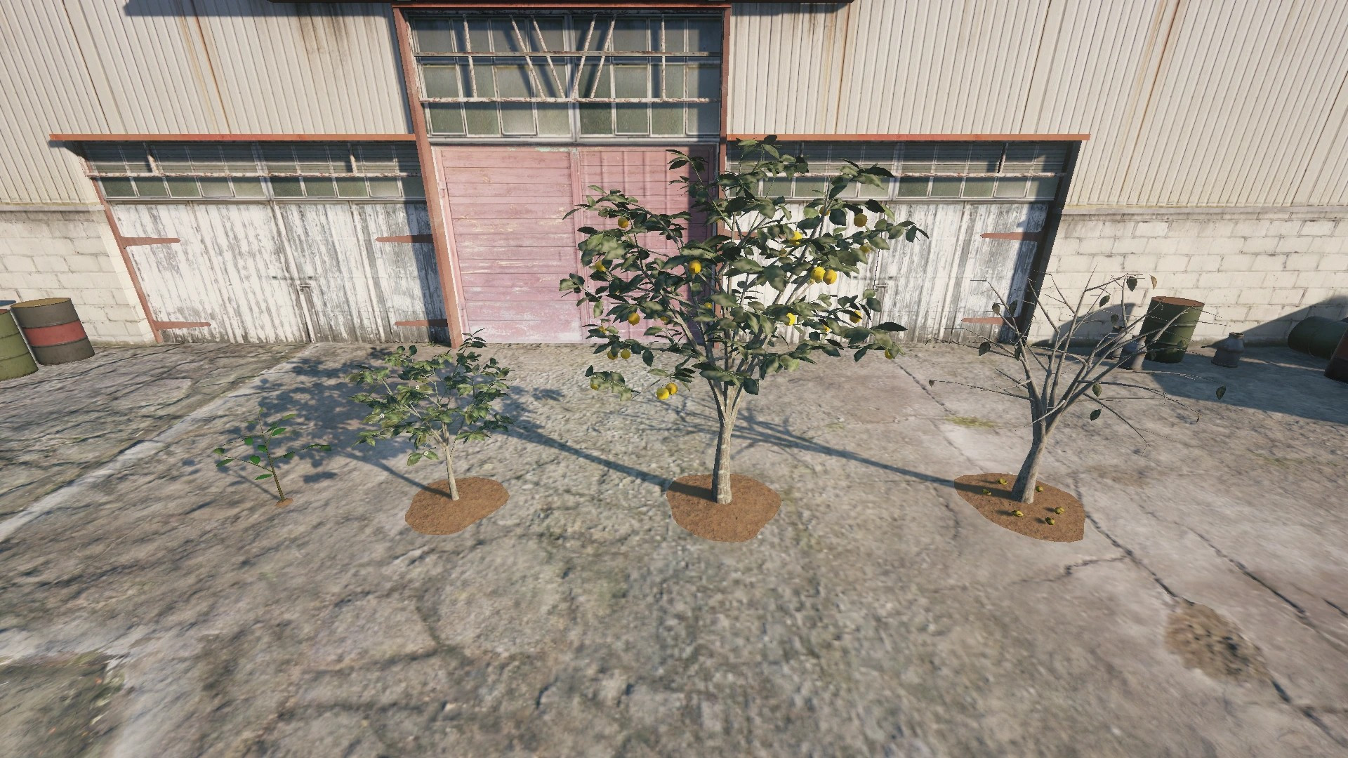 Farm Props: Orchard - 7