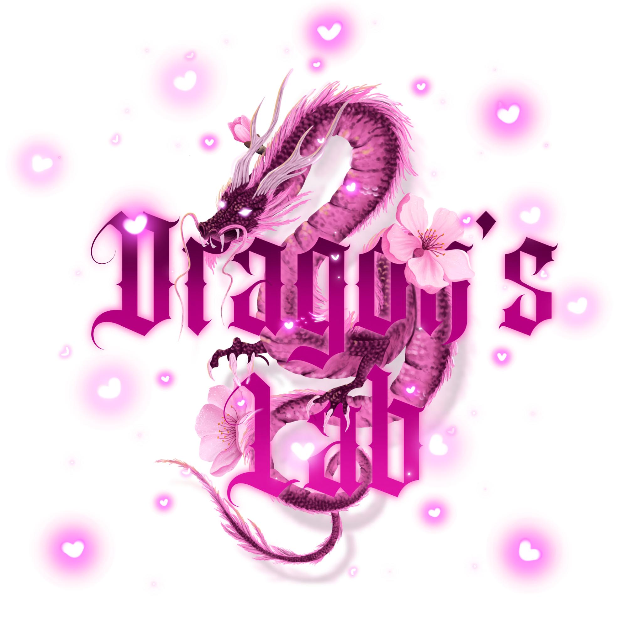 ♡ SUPPORT PACKAGE