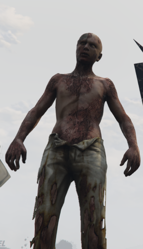 Zombie  Lost