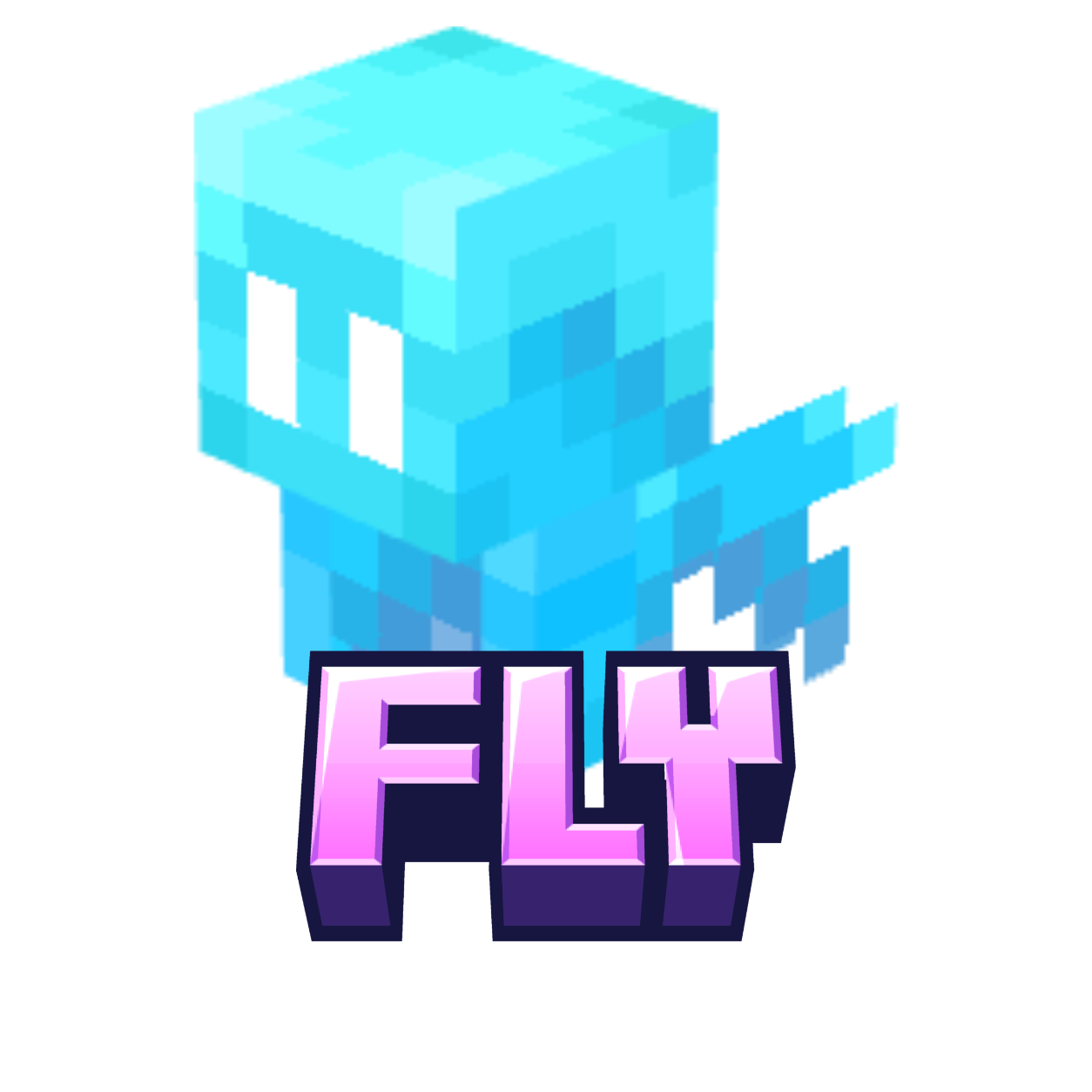 FLY