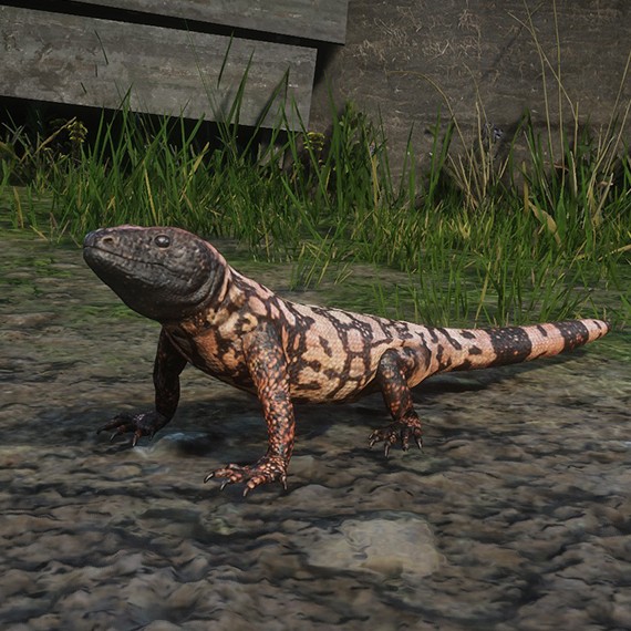 Monstre de Gila