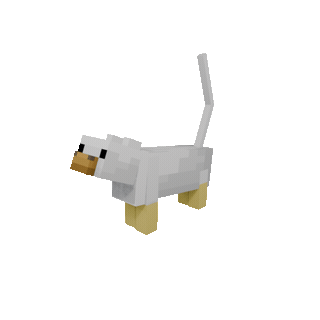 Chicken Cat — cosmetic Cat Skins item on the NovaVoid Cat Civilization Minecraft server