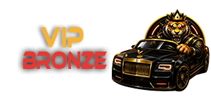 VIP BRONZE - 1 LUNA
