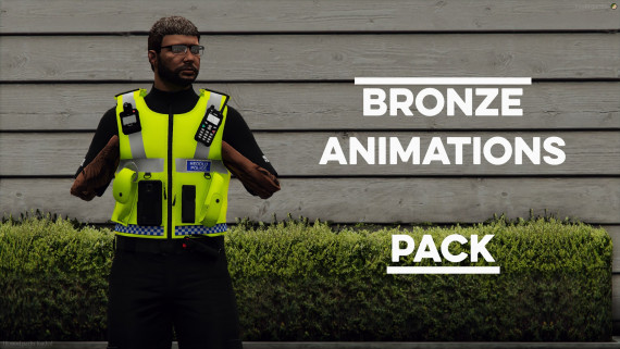 Bronze Animation Pack