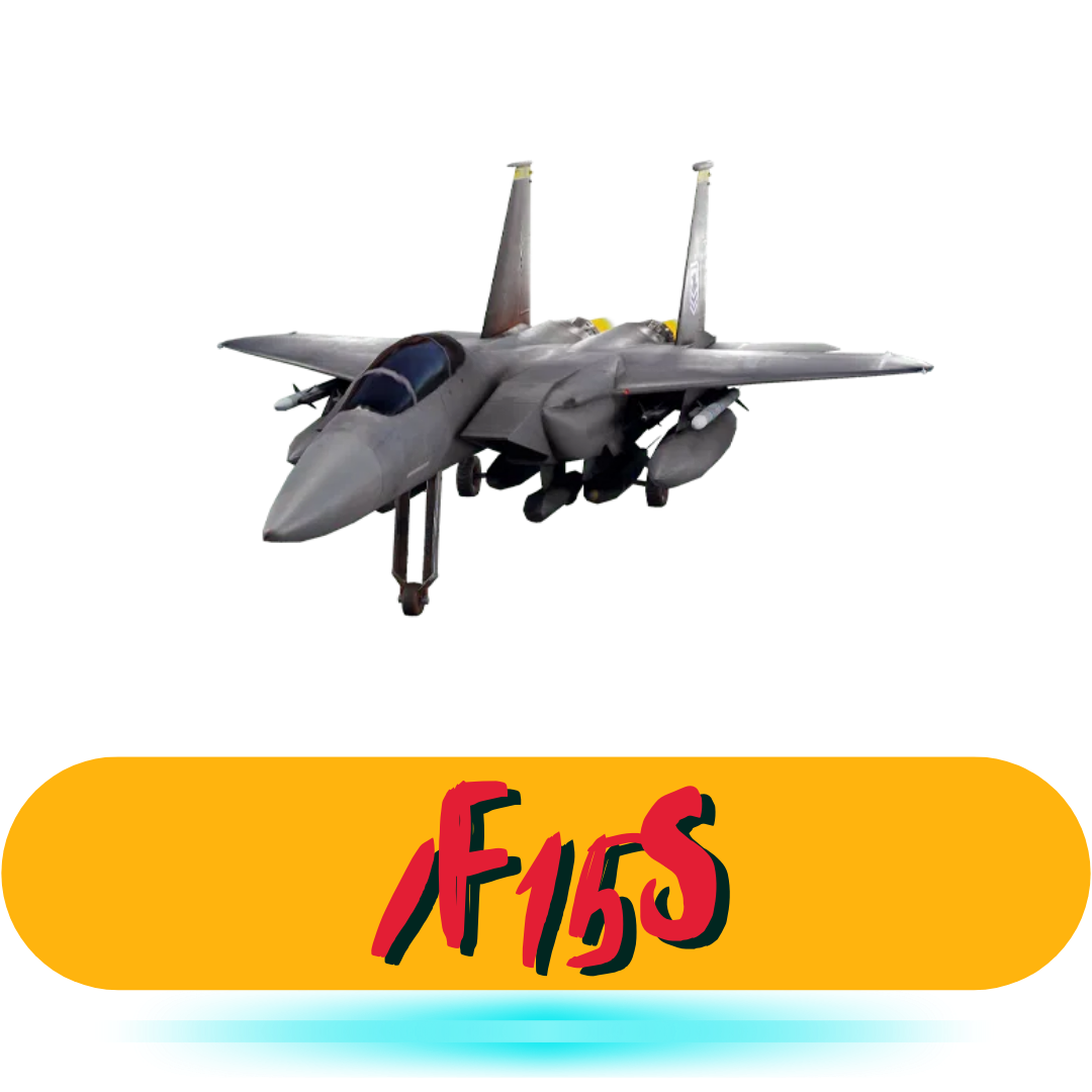 F15 Solo