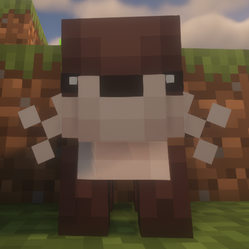 Otter