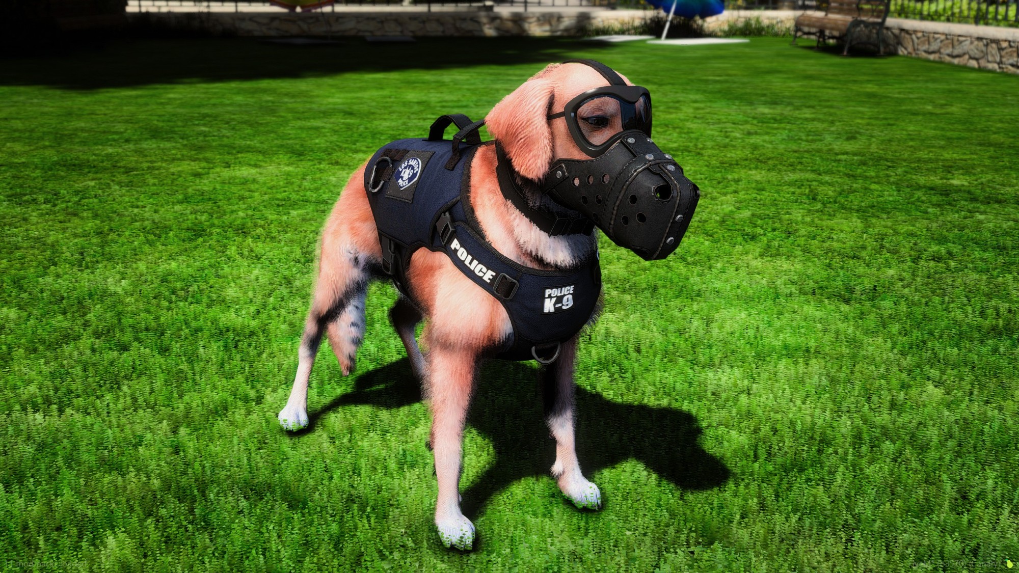 Golden Labrador Retriever Police K9