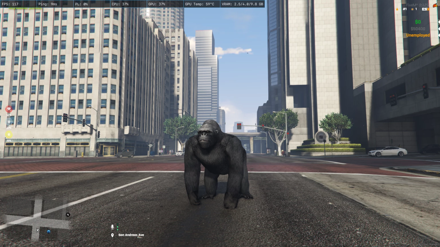 Gorilla