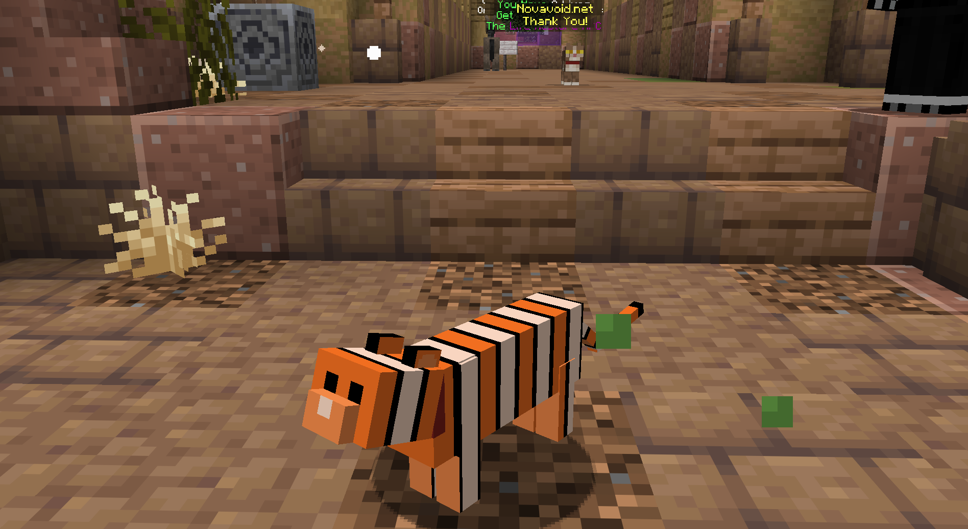 Tropical Cat — cosmetic Cat Skins item on the NovaVoid Cat Civilization Minecraft server