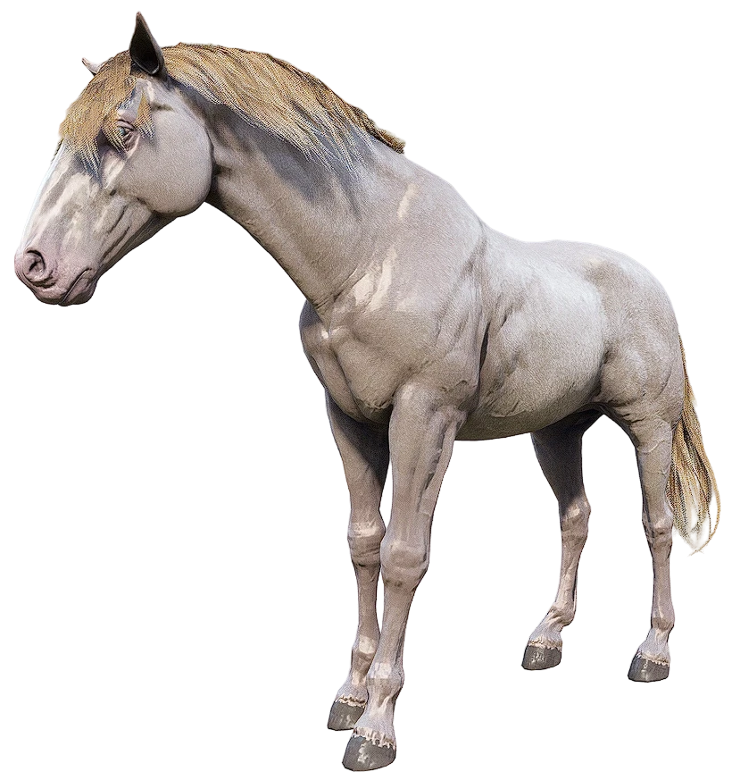 Perlino Andalusian
