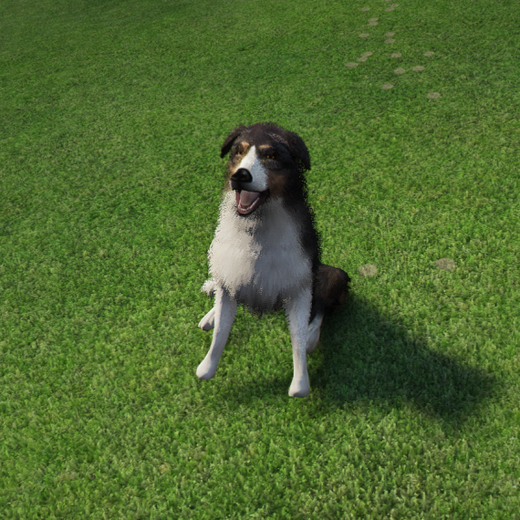 Pet Companion