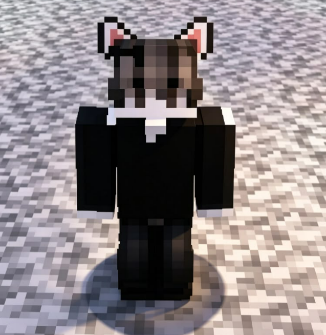🐱 Orejas de Gato