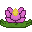 🌸 Lotus Rang (30 Tage)