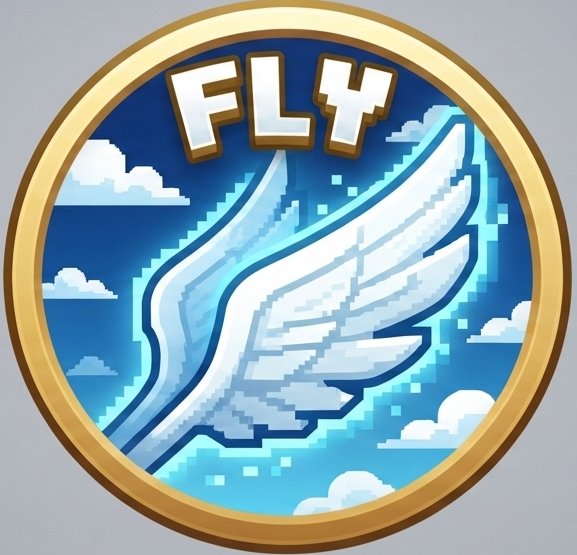 Paquete  FLY