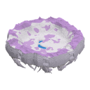 Psychic Theme Island