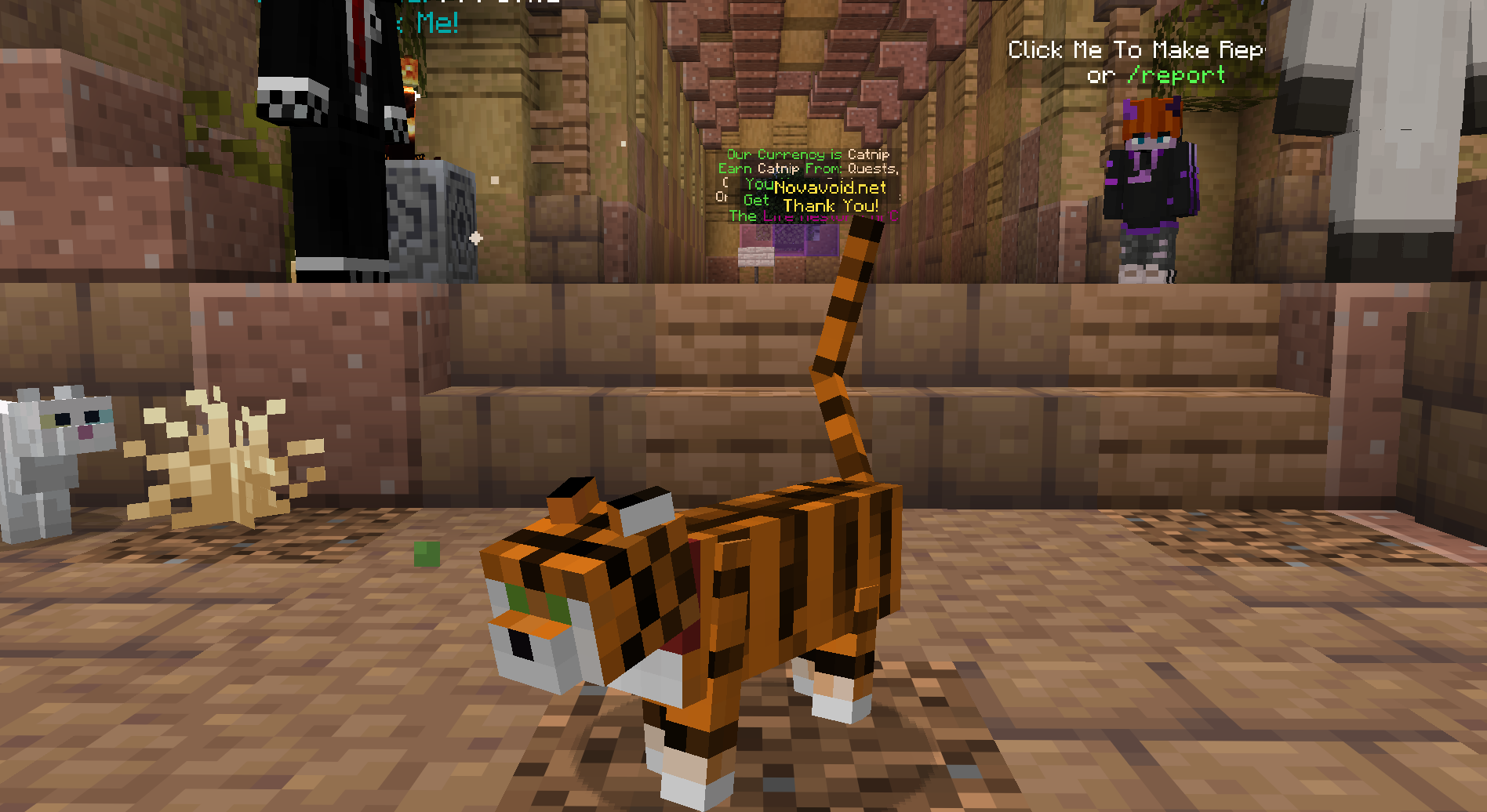 Tiger Cat — cosmetic Cat Skins item on the NovaVoid Cat Civilization Minecraft server