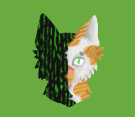 1x Custom NPC