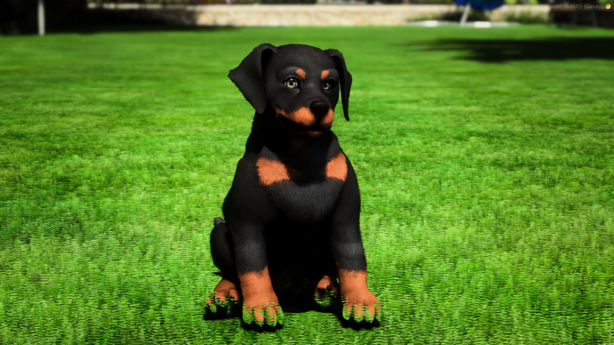 Doberman Police K9 Puppy