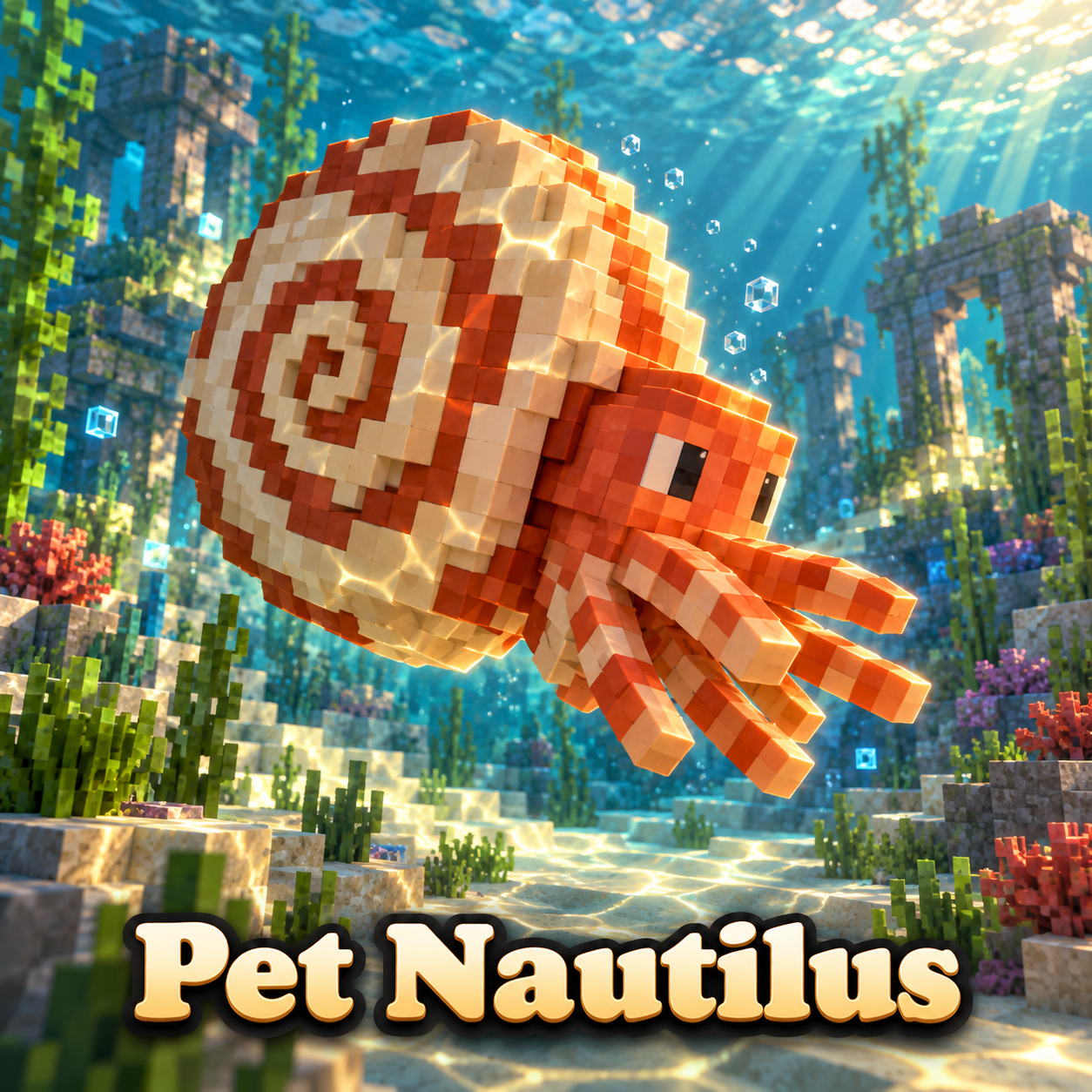 Pet Nautilus