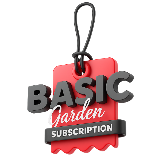 Subscription - [ Basic ]