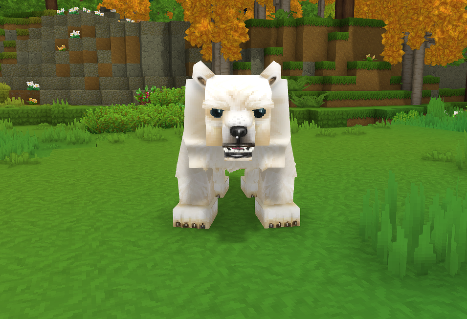 Polar Bear