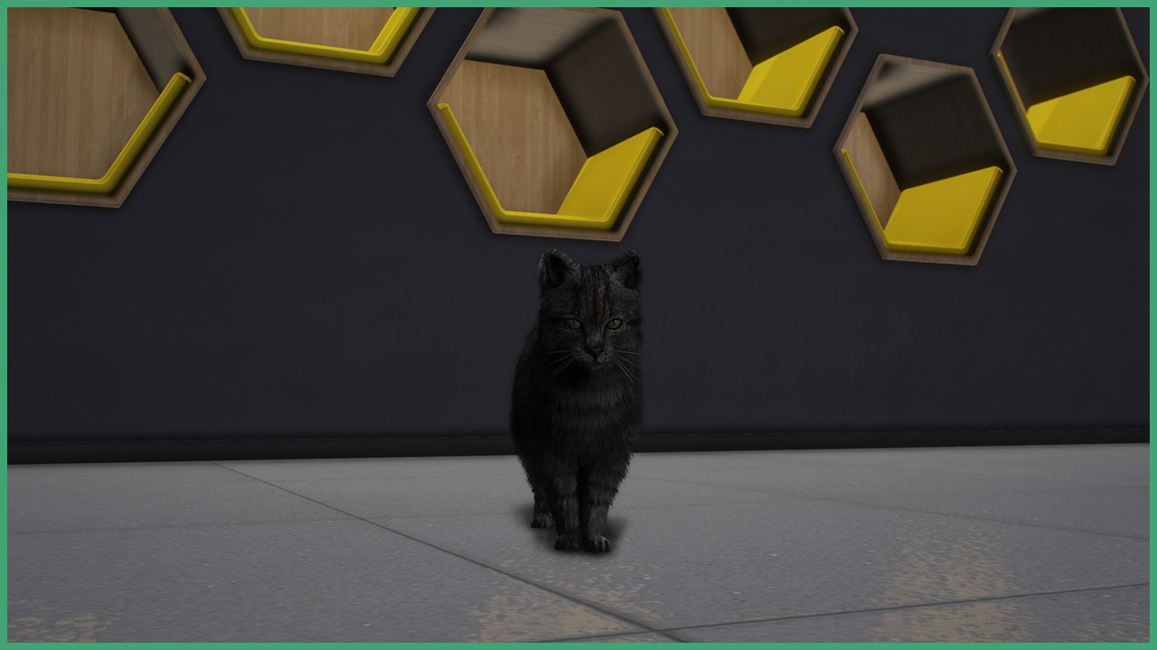 Grey Cat