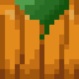 Pumpkin Seed