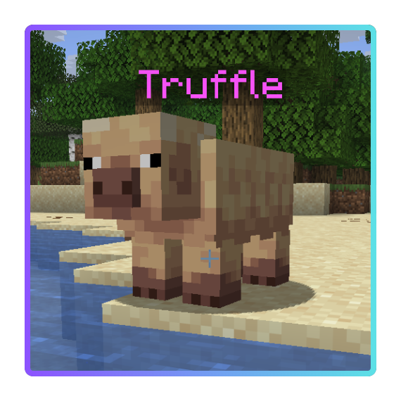 Truffle