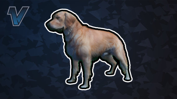 🐶 Zwierzak