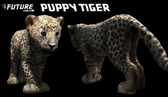 [ANIMAL] [PUPPY] Puppy Lion