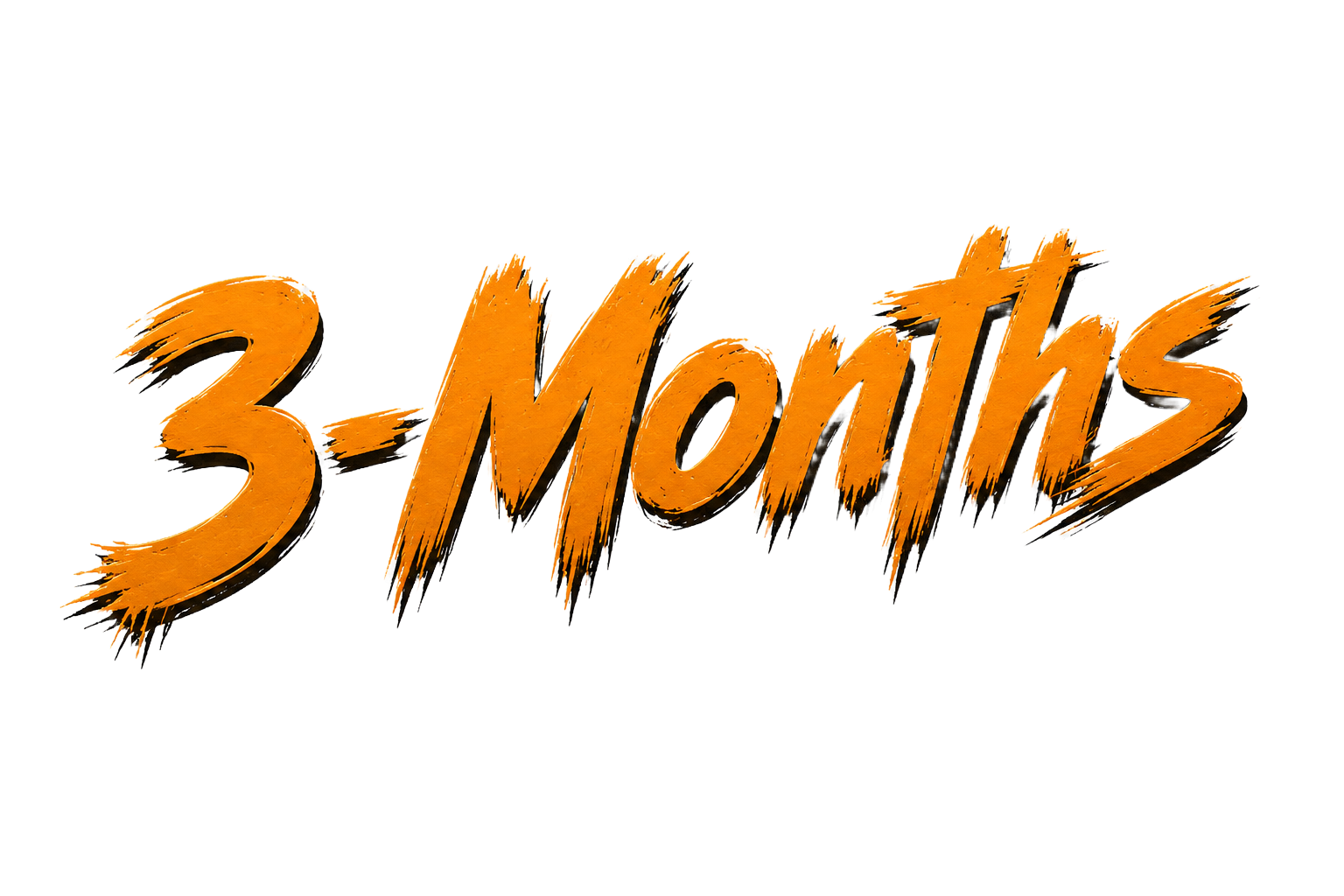 3-Month Access