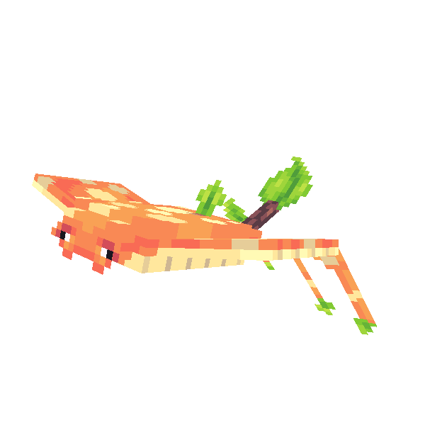 AMANTA