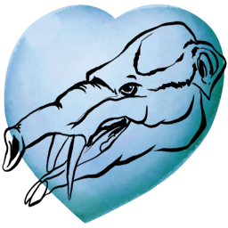 Phiomia pet