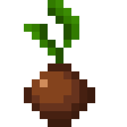 Coconut Seed
