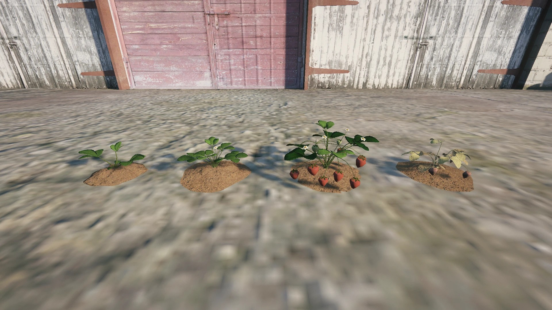 Farm Props: Fruits & Berries - 2
