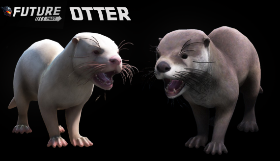 [ANIMAL] Otter
