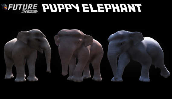 [ANIMAL] [PUPPY] Puppy Elephant