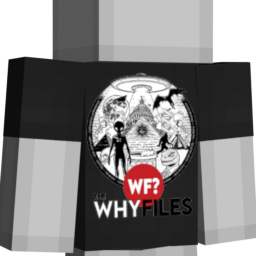 Everything Shirt